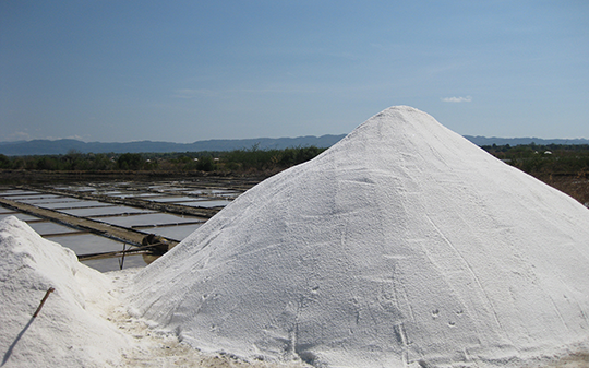 Iodized Salt and Rice Fortification