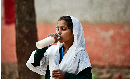 Harnessing Youth Potential For Transforming Pakistan’s Food Systems