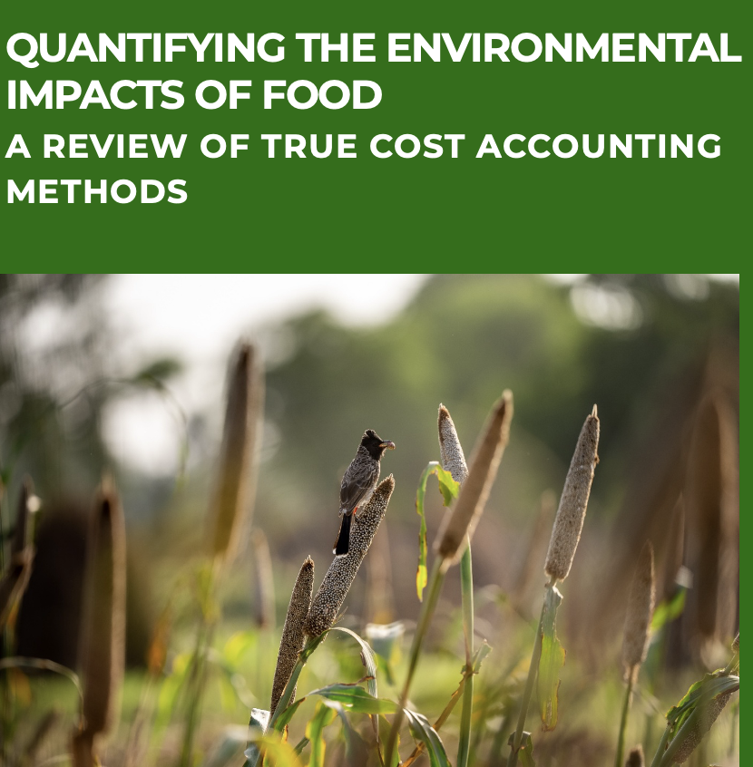 Quantifying The Environmental Impacts of Food A Review of True Cost Accounting Methods