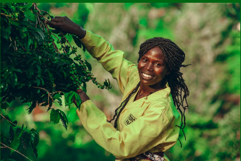 Quantifying the Socio-Economic Impacts of Food: A Review of True Cost Accounting Methods