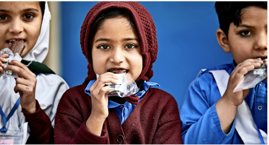 Nutritious Fruit Bars Initiative: A scalable business model for affordable nutrition, reduced food waste, and job creation in Pakistan