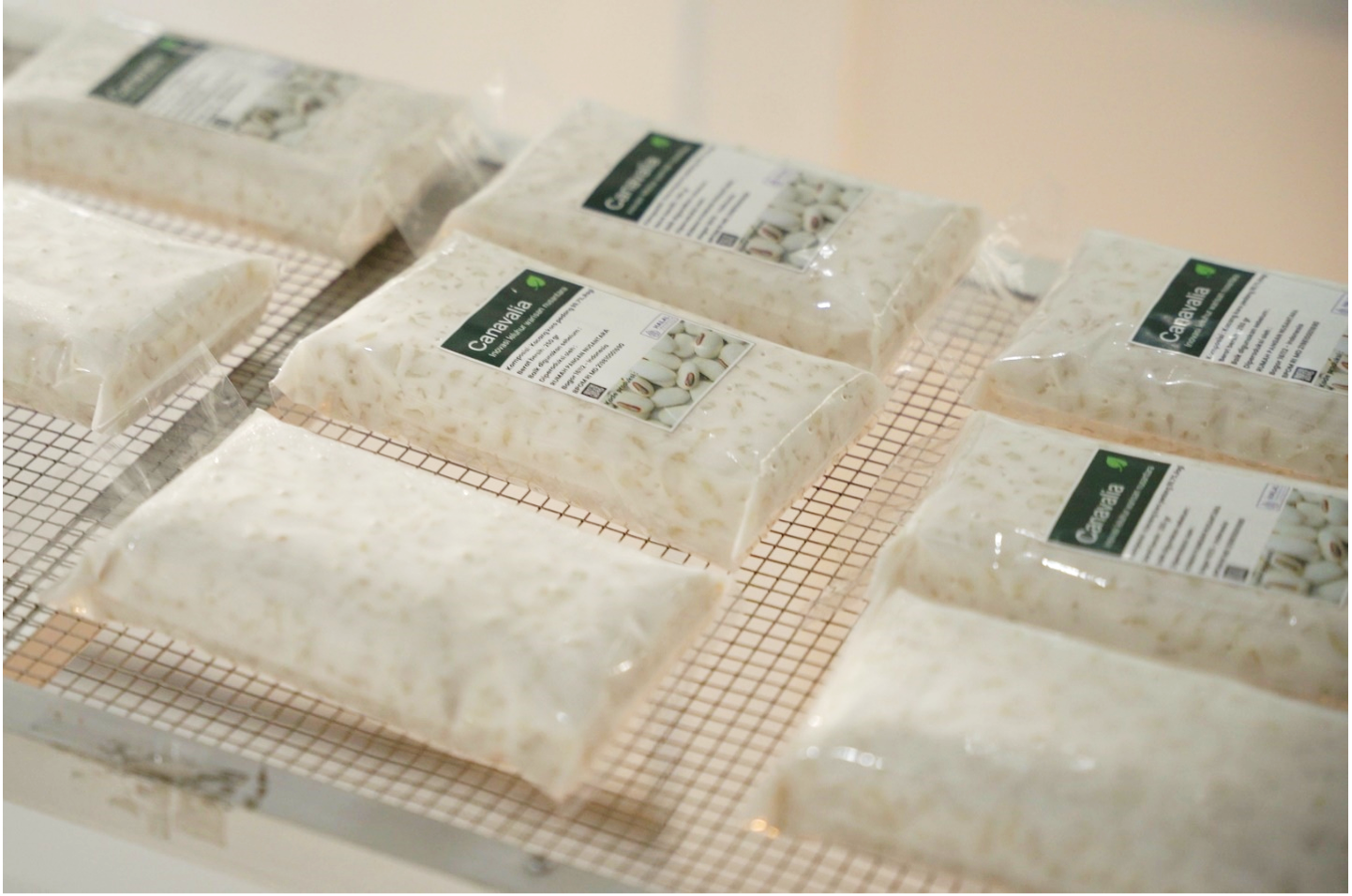 GAIN Working Paper n°62: Alternative Sources to Improve Sustainability and Resilience of Tempeh Supply Chains 