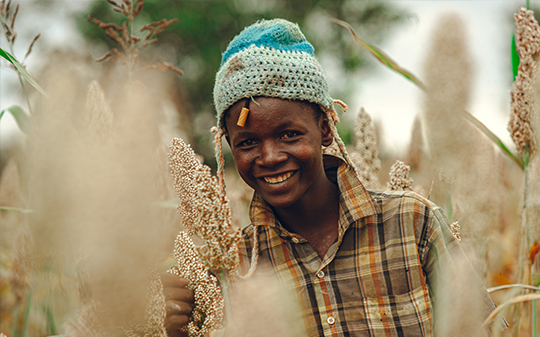 youth in a sorghum field