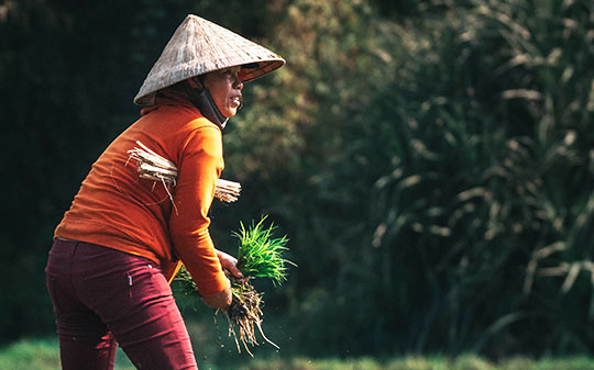 Building healthier supply chains: the business case (white paper #1)
