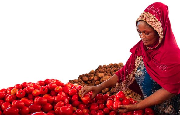 Food Safety In Tanzania