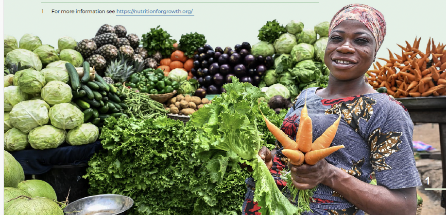 Benin’s Nutrition Commitments for a Resilient Future: Benin’s road to the 2025 Paris Nutrition for Growth (N4G) Summit