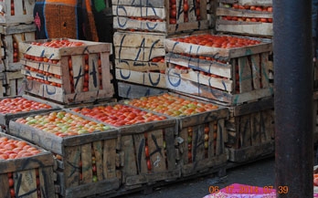 Crates of tomatoes in Nigeria