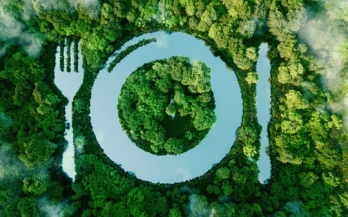 Lake shaped in plate, knife, fork in the middle of green forest