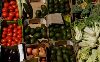 Market stall with avocado, tomatoes, aubergines and apples