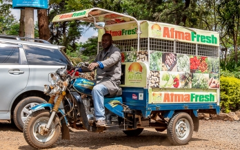 Man on a bike carrying fruits and vegetables