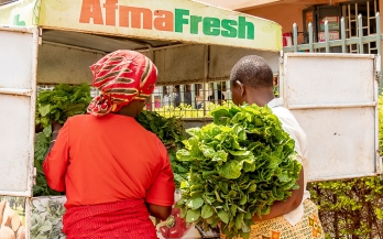 Two women loading vegetables in the back of a truck in Kenya