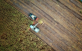 Two vans in a field cutting grass