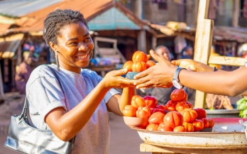 Woman holding tomatoes by hand Woman holding tomatoes by hand