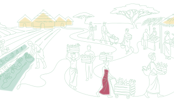 Adopting a Food Systems Approach to Reducing Hunger and Malnutrition: Lessons From Benin, Dr Congo, And Madagascar