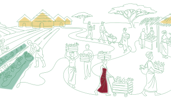 Adopting a Food Systems Approach to Reducing Hunger and Malnutrition