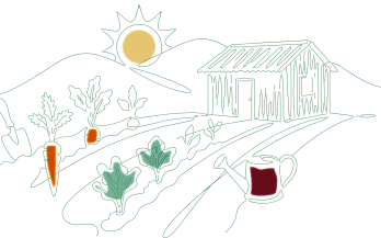 Leveraging The Power of Employers: Adoption and Growth of Workforce Nutrition in Bangladesh