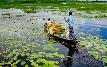 Initiative on Climate Action and Nutrition (I‑CAN) Initiative on Climate Action and Nutrition (I‑CAN)