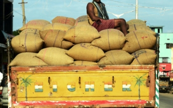 Man sitting on bags of wheat on a transporting van