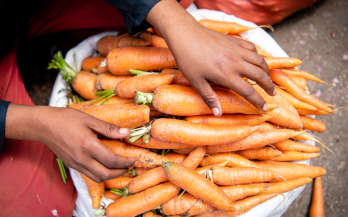 Nourishing Food Pathways Nourishing Food Pathways