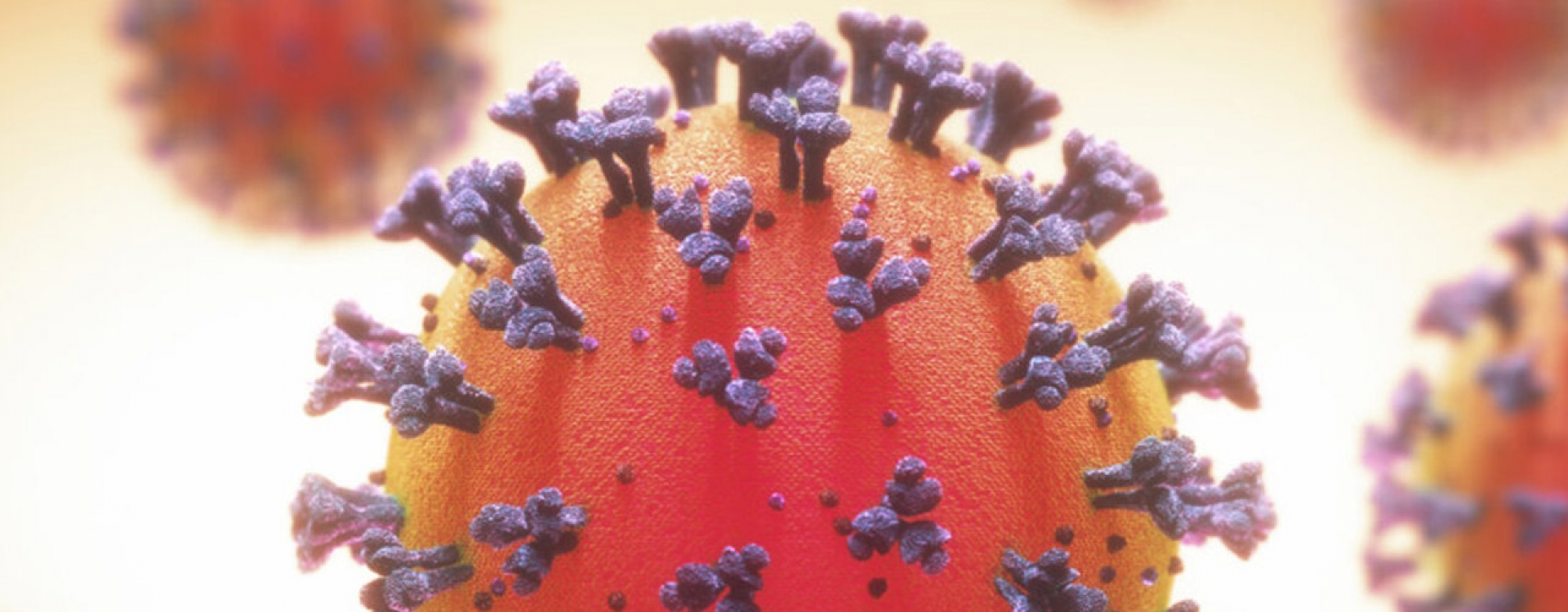 covid-19 virus close up