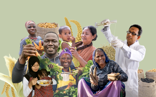 Cross Cutting Themes