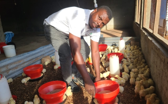  A young man from Mozambique, Andrade Vitorino tending his chicken