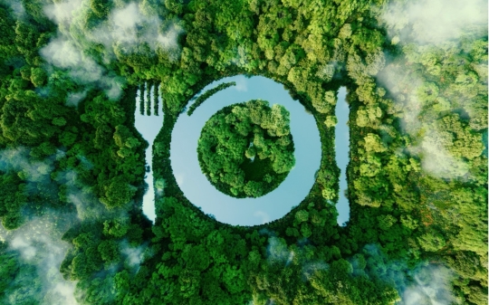 Do Consumers Consider Environmental Factors When Making Food Choices?