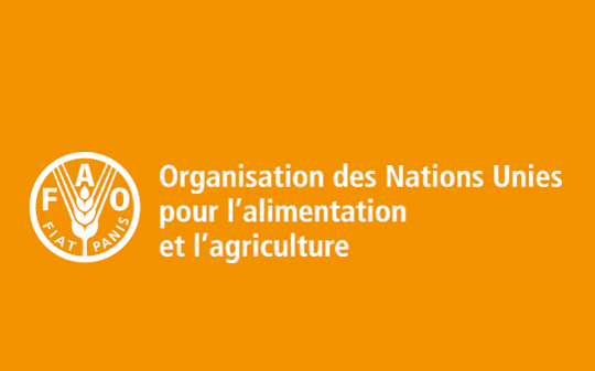 FAO FAO
