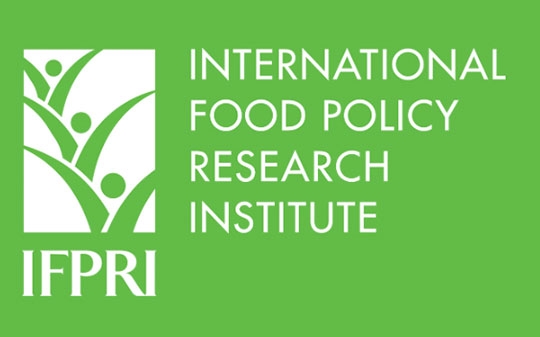 IFPRI logo