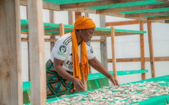 Off the sand: how cleaner dried fish changed Isabel’s business