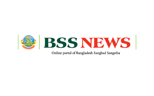BSS NEWS LOGO BSS NEWS LOGO