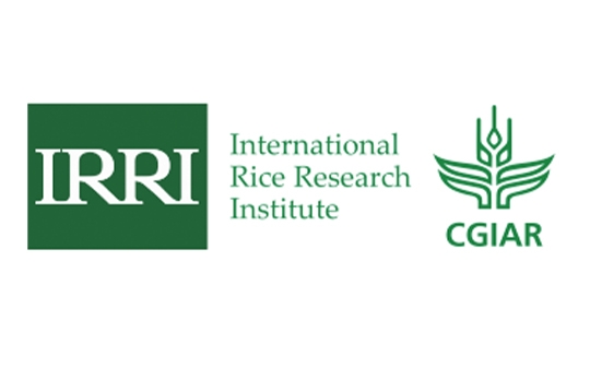 IRRI IRRI