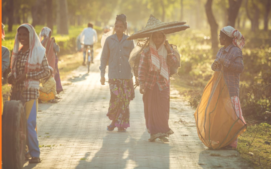 Group of People walking on a brick path