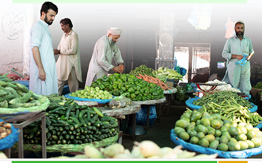 Pakistan Climate – Nutrition Integration Assessment