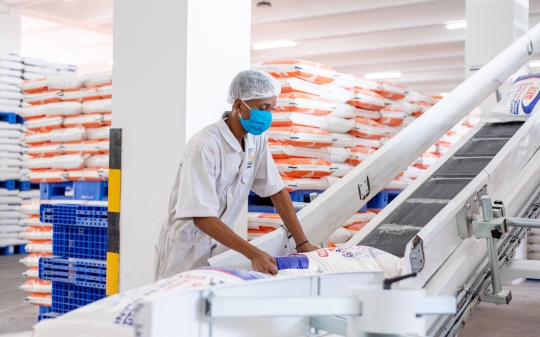 A man picking sacks of flour from a conveyor belt