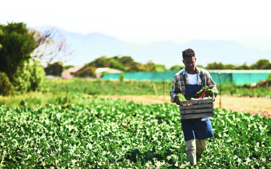 xI-CAN POLICY BRIEF: BRIDGING CLIMATE AND NUTRITION POLICIES IN TANZANIA