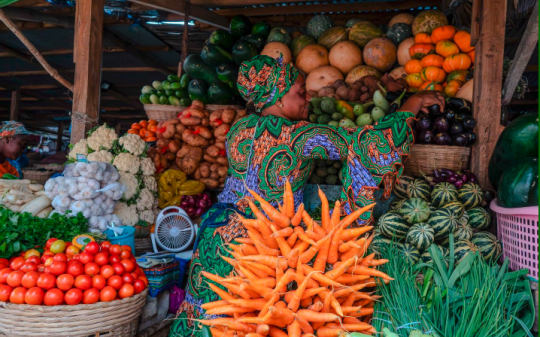  Improving Diet Quality in West Africa