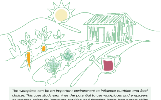  Leveraging The Power of Employers: Adoption and Growth of Workforce Nutrition in Bangladesh