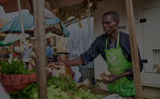I-CAN Landscaping Analysis on Climate and Nutrition Policies and Stakeholders in Mozambique