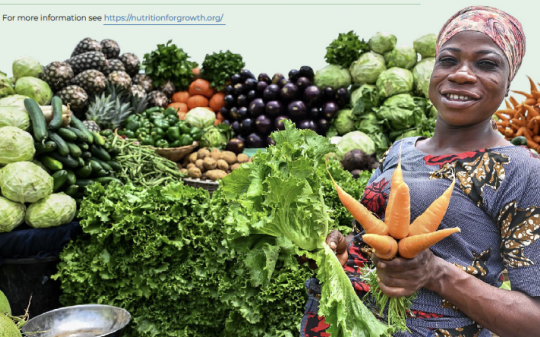 Benin’s Nutrition Commitments for a Resilient Future