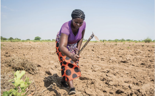 woman tilling land