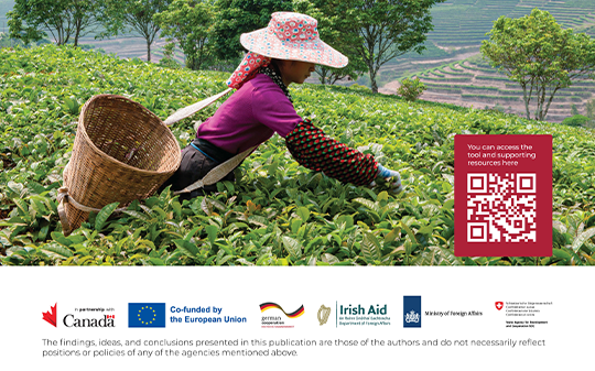 Diagnosing Policy Coherence for Food Systems Toolkit