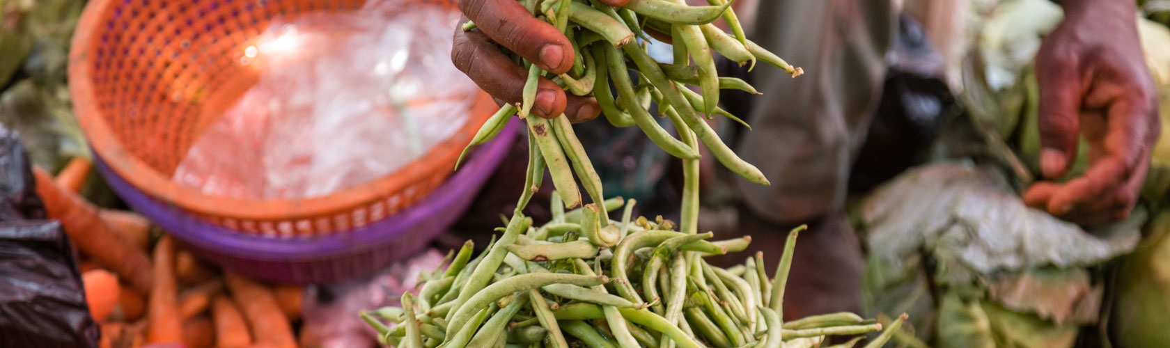 Calling all students, researchers, entrepreneurs, and innovators passionate about food safety and/or nutrition to help make food safer in Ethiopia and in Nigeria!