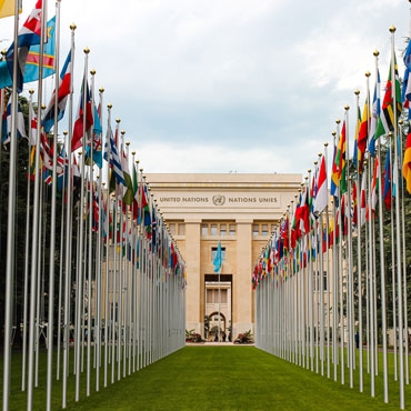 View of the UN palace with flags