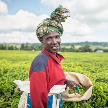 Tea worker in Kenya