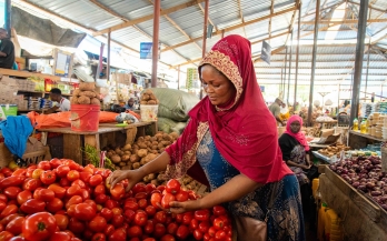 Forum africain sur les systèmes alimentaires 2025(AFSF)