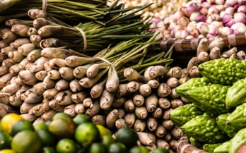 The Borlaug Dialogue - World Food Prize 2016