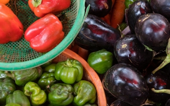From Commitments to Action: The importance of the CFS Voluntary Guidelines for a Coalition for Action on Healthy Diets from Sustainable Food Systems
