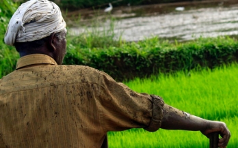 International Tropical Agriculture Conference - TROPAG 2019