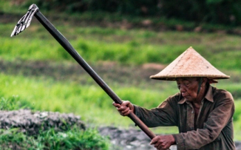 Thinking regionally about industrial food fortification